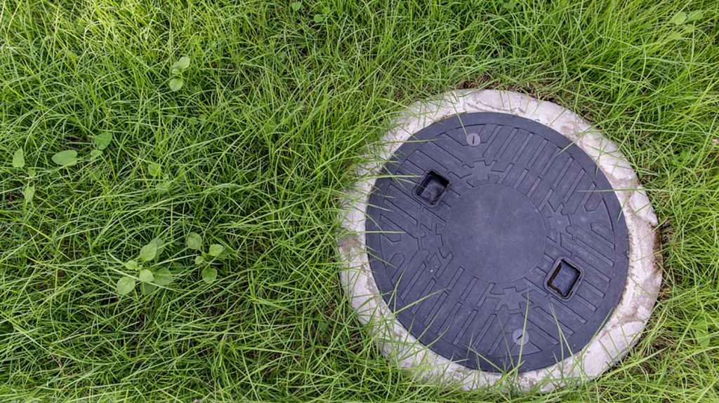 Bacteria Improve Septic Tank